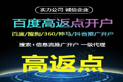 百度竞价包年推广案例深度剖析
